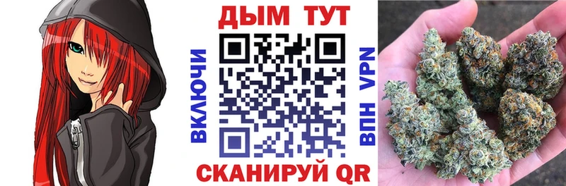 Купить где  Бузулук  Канабис VHQ 